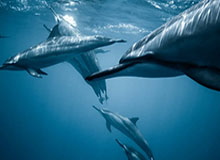 世界杯买球网站-官方：21岁中场徐彬从狼队租借加盟英甲巴恩斯利至赛季末